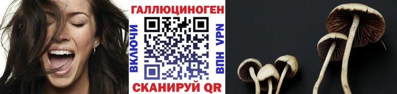 Галлюциногенные грибы GOLDEN TEACHER  Чишмы 